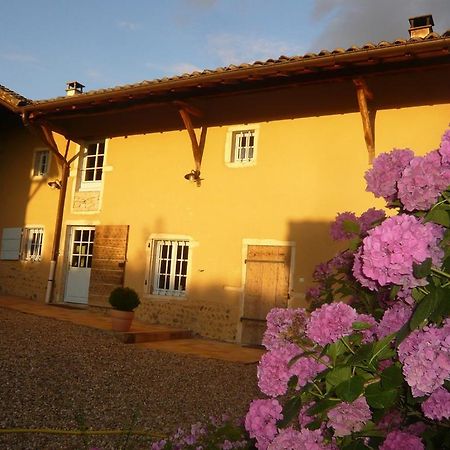 Bed & Breakfast - Maison De Marie Messimy-sur-Saone Zewnętrze zdjęcie