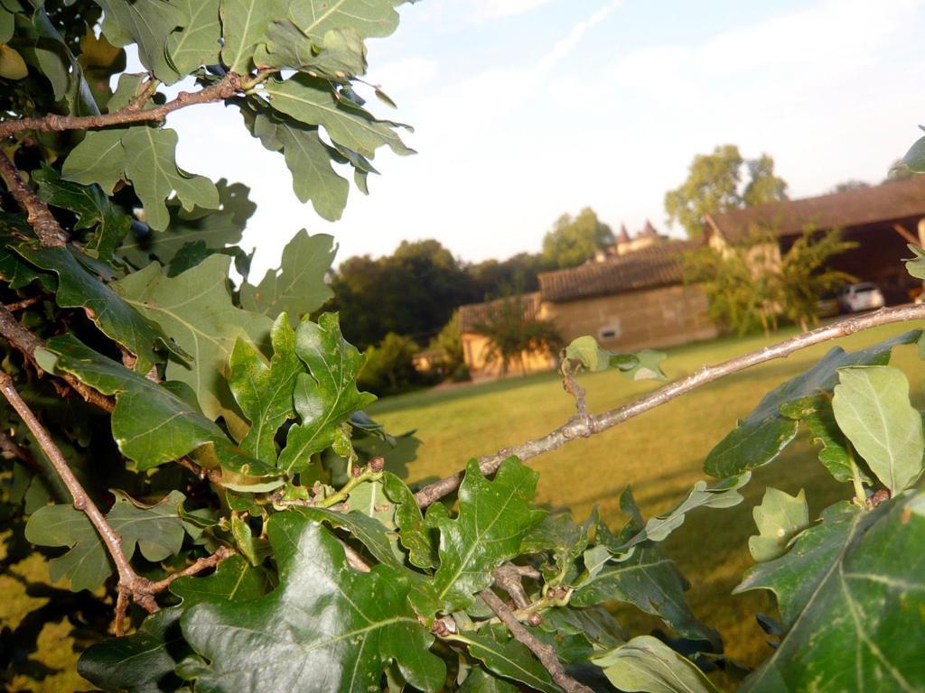 Bed & Breakfast - Maison De Marie Messimy-sur-Saone Zewnętrze zdjęcie