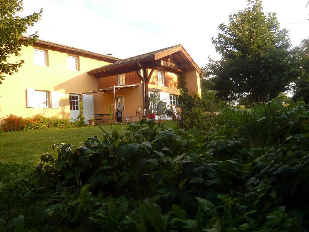 Bed & Breakfast - Maison De Marie Messimy-sur-Saone Zewnętrze zdjęcie